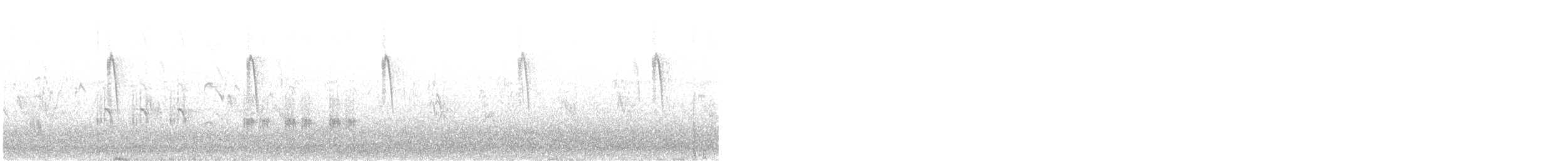 Great Reed Warbler - ML620260009