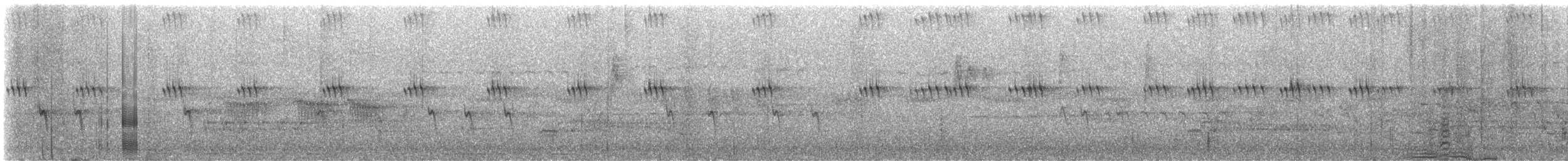 Bec-croisé des sapins (type 2) - ML620260405