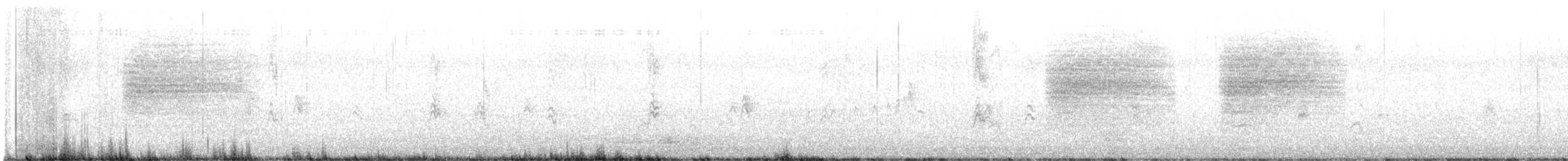 Black-tailed Gnatcatcher - ML620265396