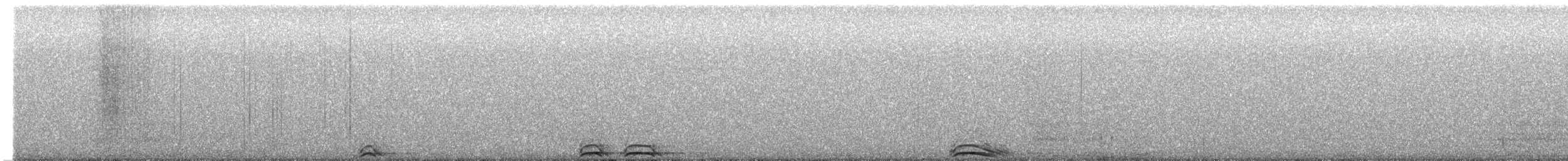 Сова плямиста (підвид occidentalis) - ML620266957