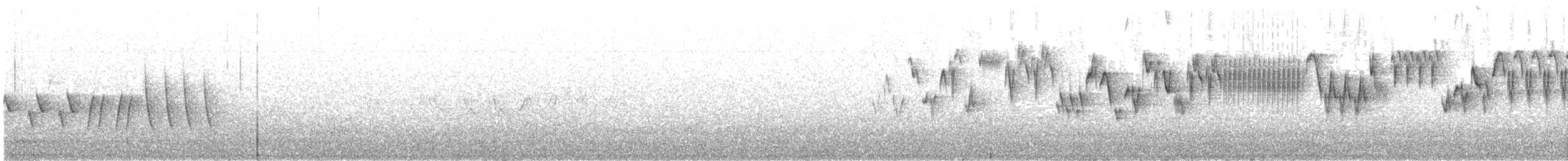 Troglodyte de Baird - ML620269001