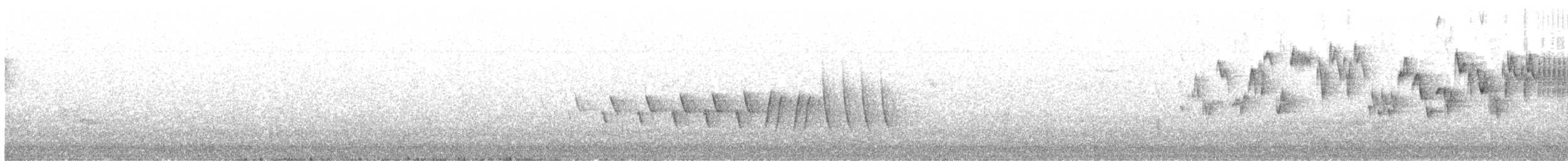 Troglodyte de Baird - ML620269002