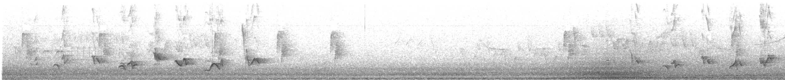 Черноголовый толстонос - ML620269584