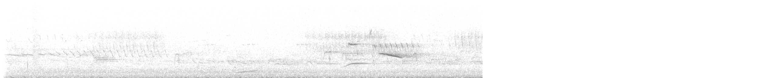 Сова sp. - ML620269808