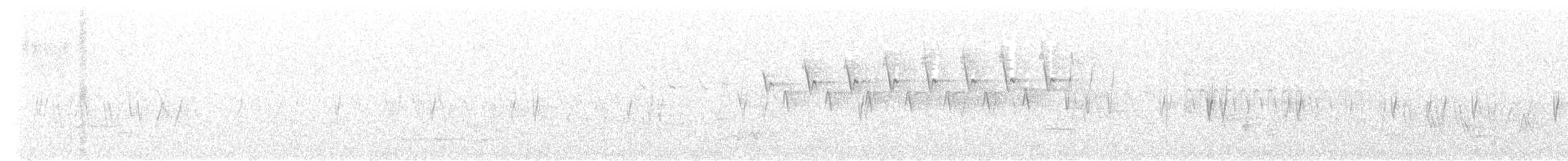 Fichtenkreuzschnabel - ML620271237