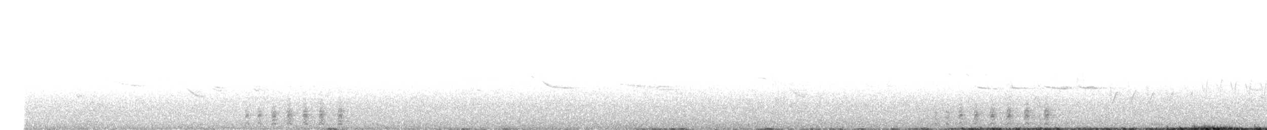 Trogon élégant - ML620275960