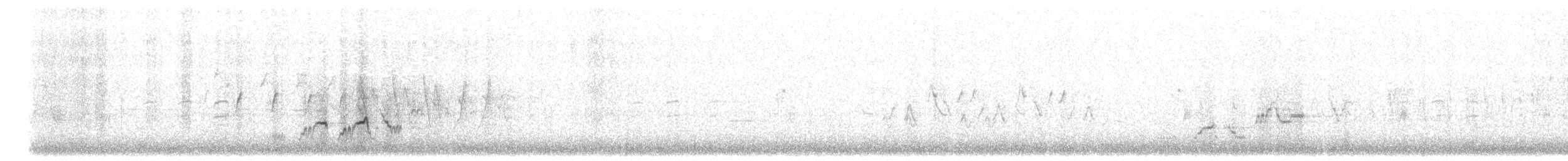 Дрізд-короткодзьоб Cвенсона - ML620280023