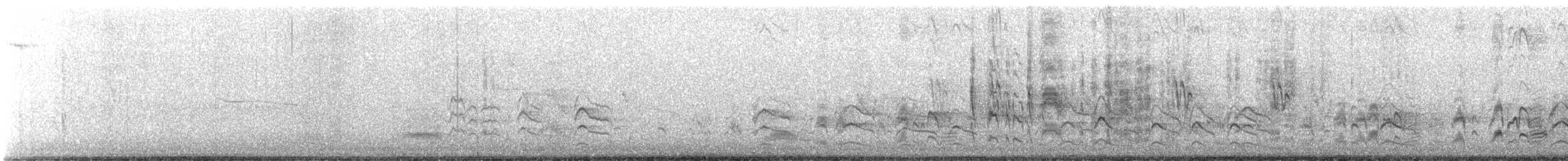Серогрудый тиранн - ML620280120