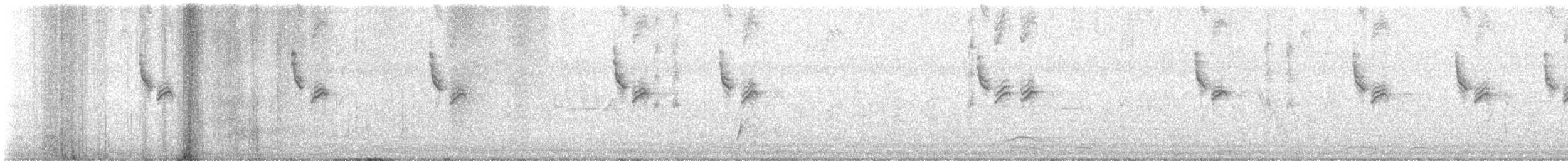 Brown-crested Flycatcher - ML620282309