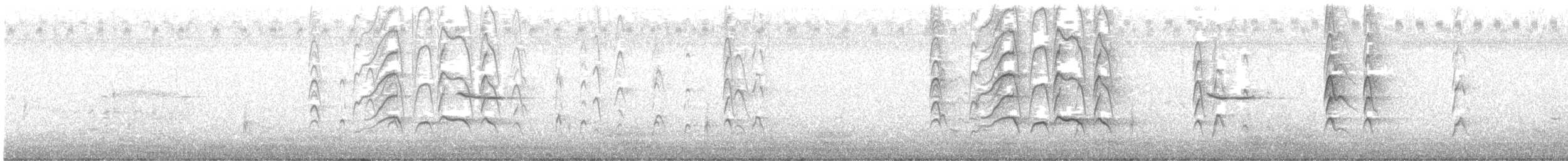 Kara Karınlı Islıkçı Ördek - ML620286513