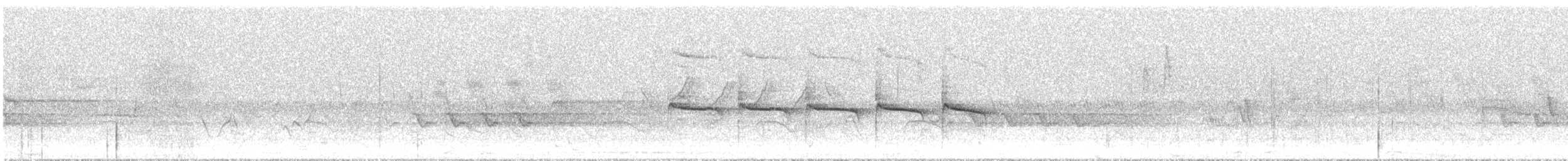 nordglattyrannulett - ML620286890