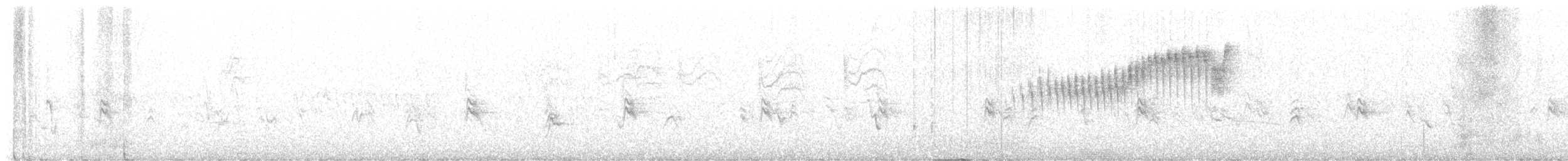 Northern Parula - ML620287829