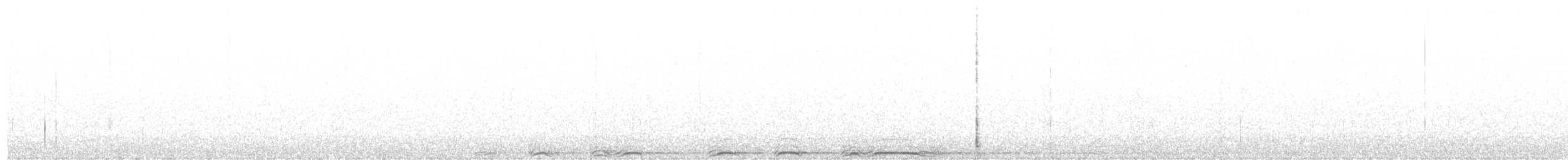 Chouette rayée - ML620288881