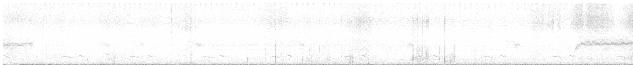 Winternachtschwalbe - ML620288898