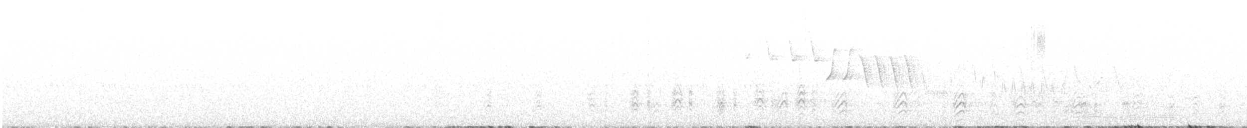 Palamut Ağaçkakanı [formicivorus grubu] - ML620290198