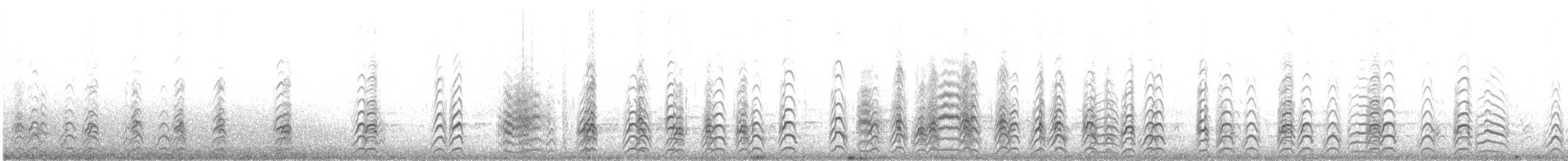 Schwarznacken-Stelzenläufer - ML620290581