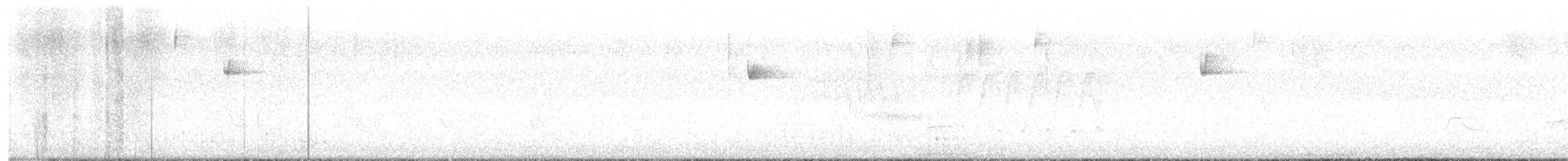 Western Flycatcher (Pacific-slope) - ML620291174