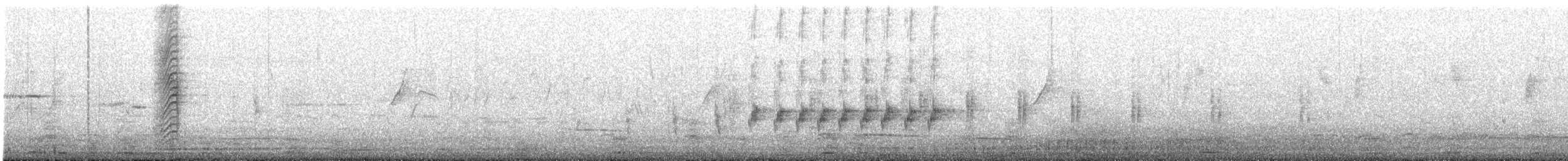 Weißbauch-Schwalbenstar - ML620291397