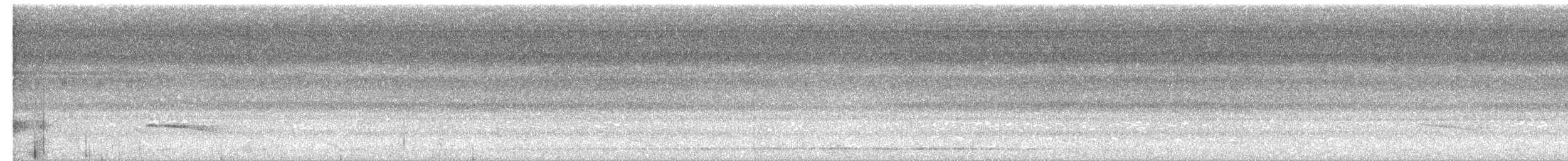 Gray-bellied Cuckoo - ML620291710