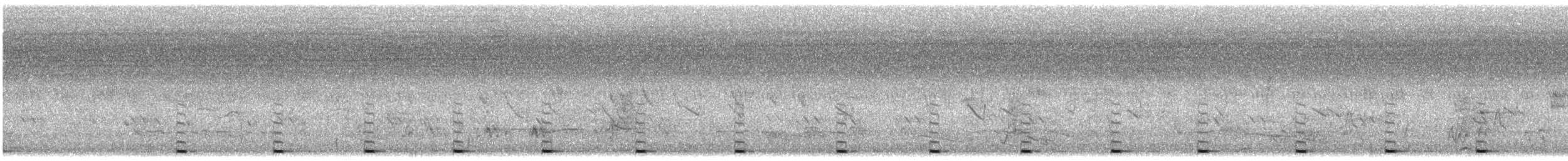 smedskjeggfugl (haemacephalus gr.) - ML620294007