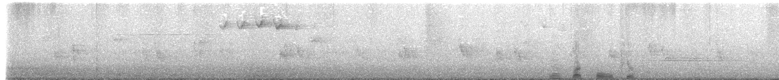 svarthetteparula - ML620297330