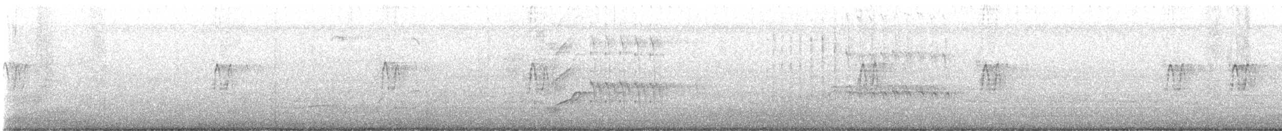 storhaletrupial (mexicanus gr.) - ML620297527