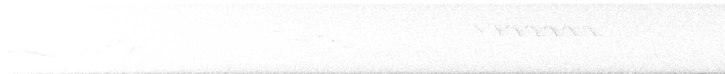 Olivflanken-Schnäppertyrann - ML620298252