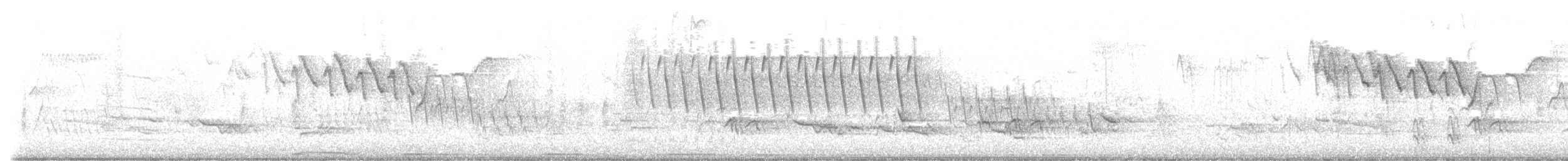 Zozo papargorria - ML620299942