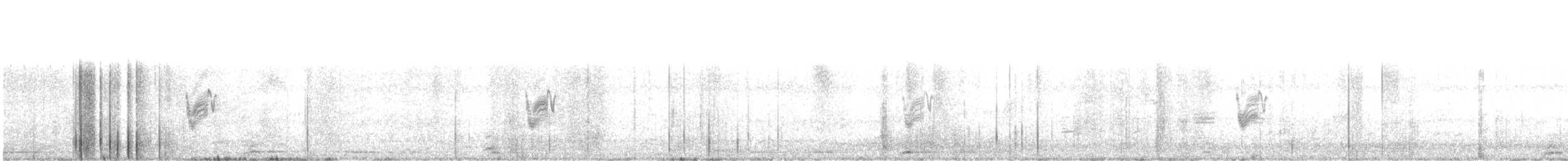 Savannennachtschwalbe - ML620300155