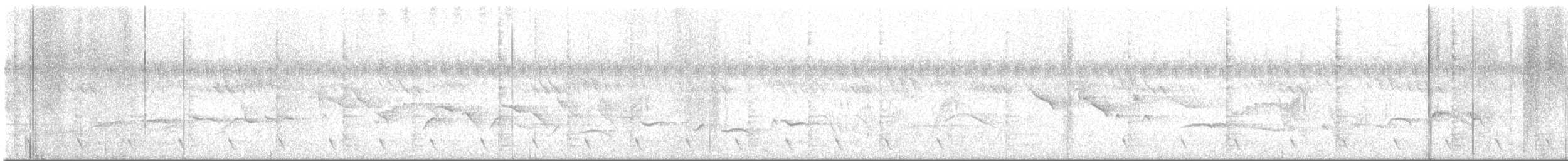 Dschungelnachtschwalbe - ML620300281