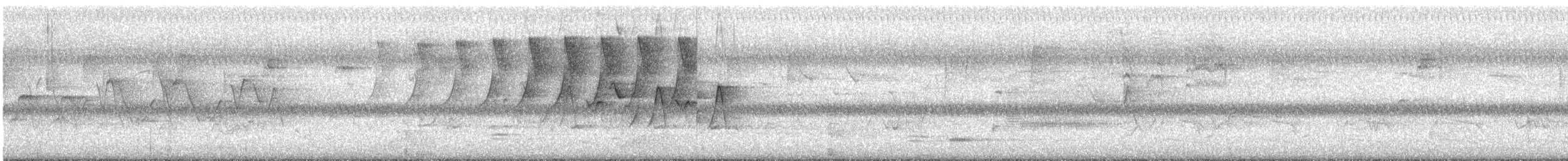 Protonoter Ötleğeni - ML620300996