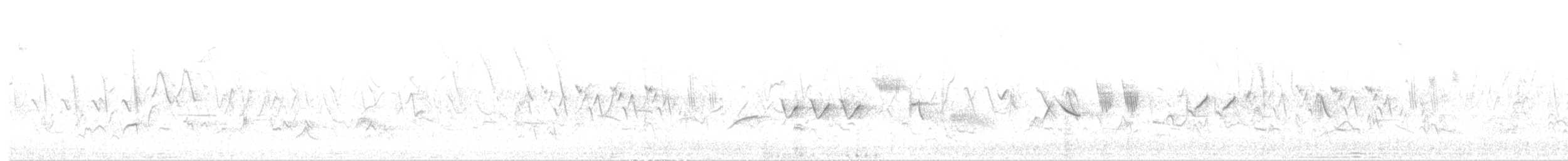 גיבתונית חומת-זנב - ML620302107