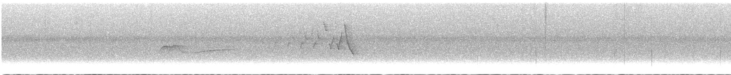 paruline sp. - ML620302396