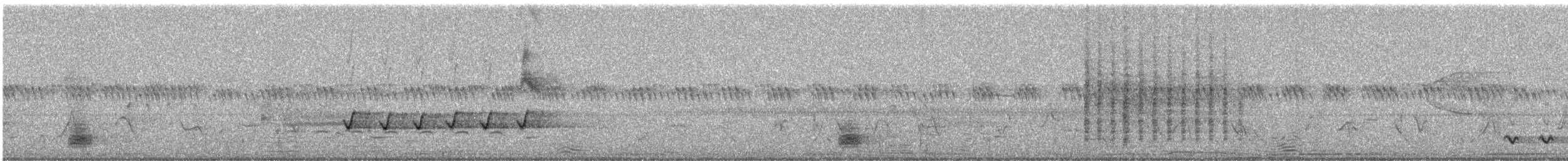 Ictérie polyglotte - ML620303398