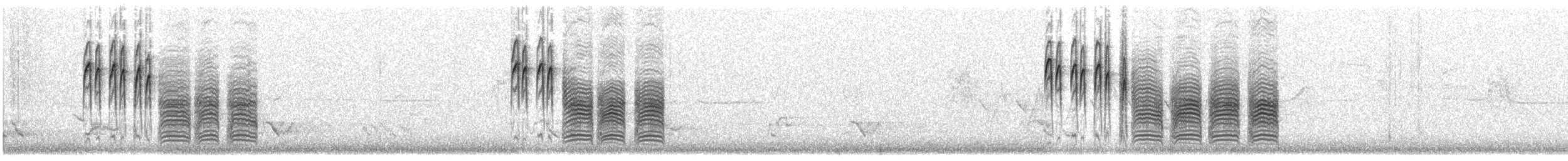 Black-capped Chickadee - ML620309406