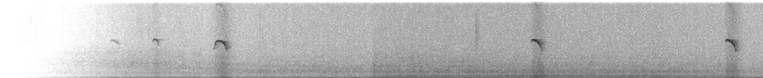 Светлобрюхий фиби - ML620309992