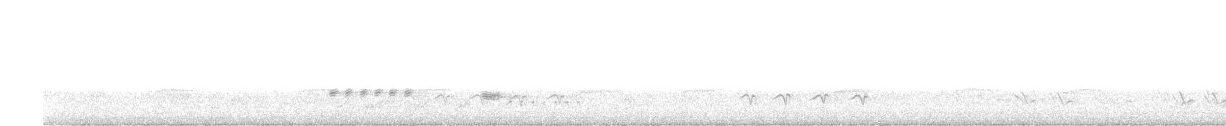 Bewick's Wren - ML620312734