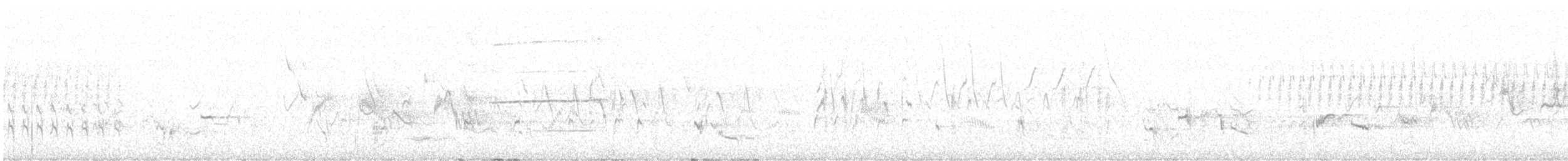 Broad-winged Hawk - ML620312857