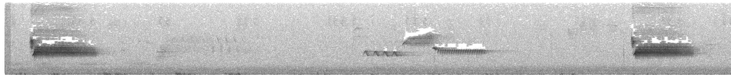 Тауї плямистий [група oregonus] - ML620313883