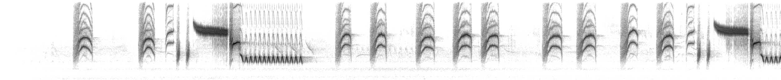 Troglodyte de Bewick - ML620313939