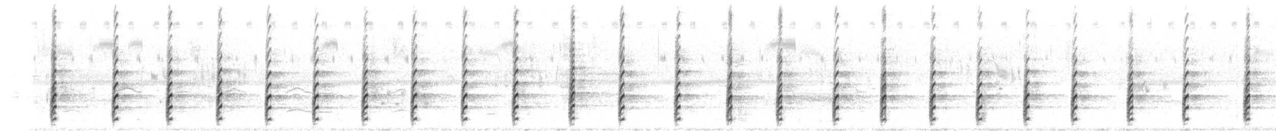 Schwarznacken-Stelzenläufer - ML620314294