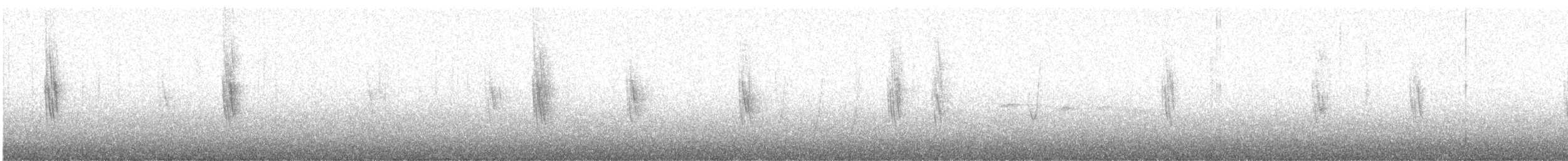 Brown-bellied Swallow - ML620314836