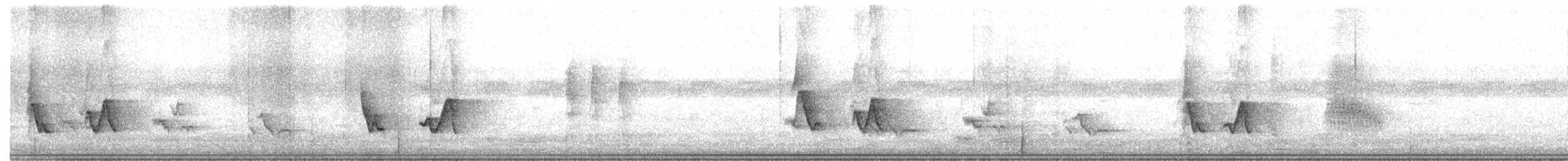 Black-whiskered Vireo - ML620315806