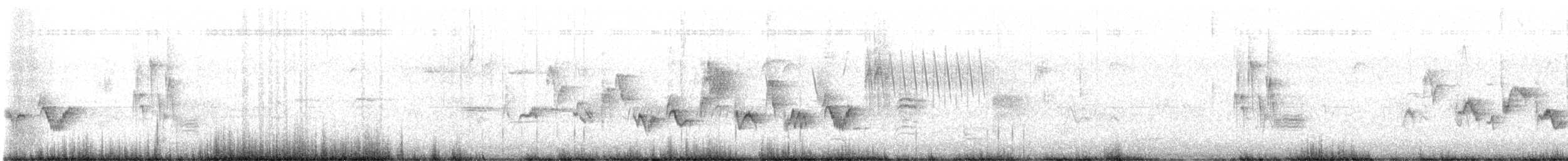 sangvireo (swainsoni gr.) - ML620316730