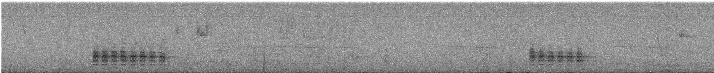 Weißbrustkleiber [lagunae-Gruppe] - ML620316991