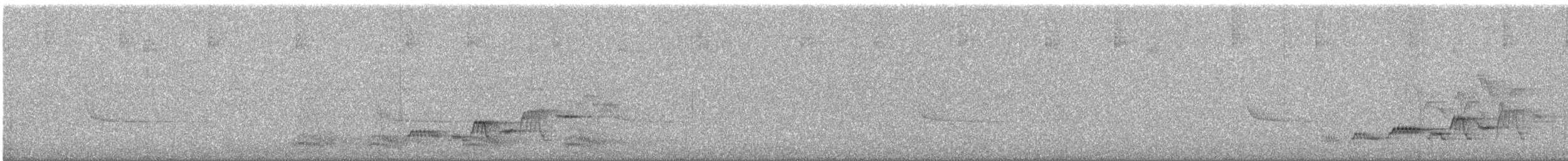 Дрізд-короткодзьоб Cвенсона - ML620317303