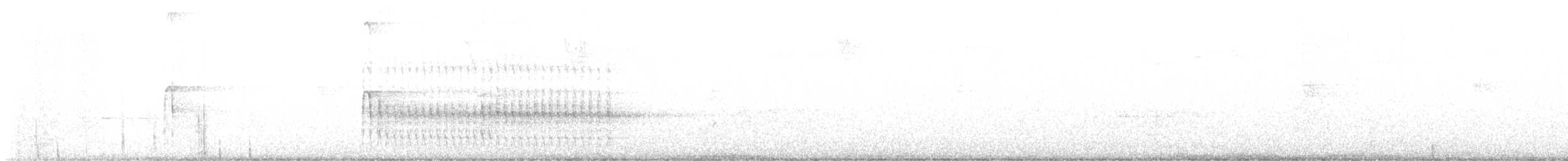 Pico Velloso (grupo villosus) - ML620317794