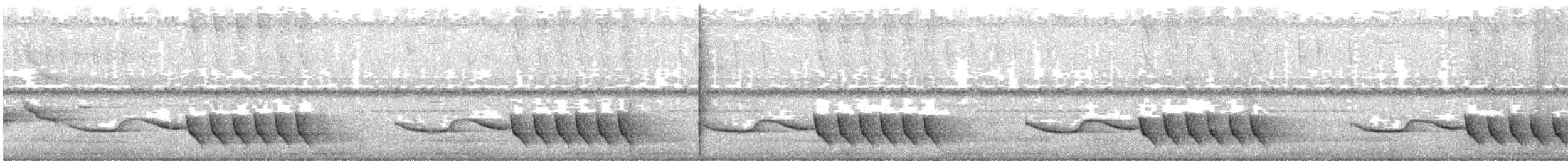 Troglodyte coraya - ML620319048