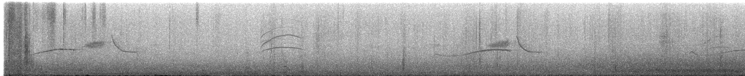 østpivi - ML620321084