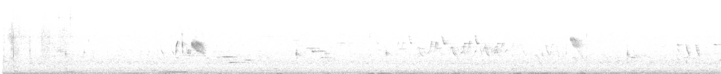 tyranovec vrbový - ML620321110